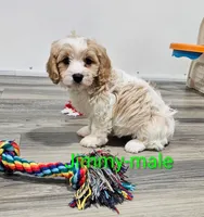 processed/37a7b8d0-ded4-4e9b-a3a8-fb85d0e7f857/listing/5cc741ff-5f22-42d4-a8e7-a3f30703a893/0816e0aa-e305-47ba-af11-8e02f59243ca