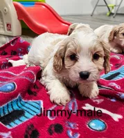 processed/37a7b8d0-ded4-4e9b-a3a8-fb85d0e7f857/listing/5cc741ff-5f22-42d4-a8e7-a3f30703a893/129580a3-19cd-467f-881c-d86c4fb00fff