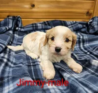 processed/37a7b8d0-ded4-4e9b-a3a8-fb85d0e7f857/listing/5cc741ff-5f22-42d4-a8e7-a3f30703a893/a96f926b-749b-4e8c-8620-e98da6d5a7fc