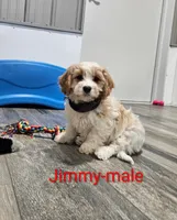 processed/37a7b8d0-ded4-4e9b-a3a8-fb85d0e7f857/listing/5cc741ff-5f22-42d4-a8e7-a3f30703a893/aea710f9-d772-463f-ad64-37a0a3e059bd