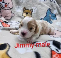 processed/37a7b8d0-ded4-4e9b-a3a8-fb85d0e7f857/listing/5cc741ff-5f22-42d4-a8e7-a3f30703a893/e1296b8f-7267-4f1d-9078-9cffa47f4504