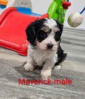 processed/37a7b8d0-ded4-4e9b-a3a8-fb85d0e7f857/listing/626c5f5e-2f66-44dc-b0a6-a8850113b776/04ef209c-c587-4748-8902-7eac67a4fdc2