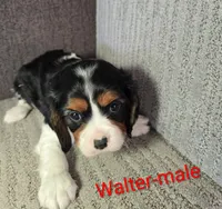 processed/37a7b8d0-ded4-4e9b-a3a8-fb85d0e7f857/listing/72d74ac8-5590-4e45-b827-a08c01faa6b3/e405da7c-5d0f-40ea-860b-eed3da321b49