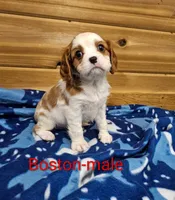 processed/37a7b8d0-ded4-4e9b-a3a8-fb85d0e7f857/listing/8c5079fc-54fb-43f2-b8bc-91a3b08544cf/428bb574-4e21-48e5-8070-d52abb45ebfc