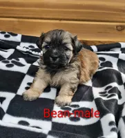 processed/37a7b8d0-ded4-4e9b-a3a8-fb85d0e7f857/listing/c0a4e80e-6345-4048-86b6-22091c97b395/338d492d-66b4-4908-ad0e-88af2eb0497e