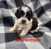 processed/37a7b8d0-ded4-4e9b-a3a8-fb85d0e7f857/listing/ca576142-3611-4569-bd8f-f150eaa745e3/14d28cba-9fe3-45bd-9a09-4e555dc59ae1