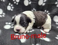 processed/37a7b8d0-ded4-4e9b-a3a8-fb85d0e7f857/listing/ca576142-3611-4569-bd8f-f150eaa745e3/c5f00f20-fd5a-43e1-9527-358035d9f1b7