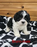 processed/37a7b8d0-ded4-4e9b-a3a8-fb85d0e7f857/listing/ca576142-3611-4569-bd8f-f150eaa745e3/cea5eed2-93b8-4700-8e10-fc82bbdedcae