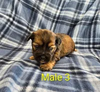 processed/37a7b8d0-ded4-4e9b-a3a8-fb85d0e7f857/listing/d6fa0123-f051-422f-8310-aabfe3fbfd7a/a1f704fe-5e01-4c09-a407-51d0d41deaeb