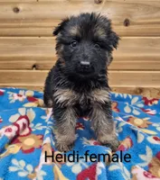 processed/37a7b8d0-ded4-4e9b-a3a8-fb85d0e7f857/listing/d8eef3b6-5279-498d-ab53-8b4cffb958ac/482610ce-d068-4a67-9e2d-6a2efc6d2609