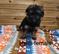 processed/37a7b8d0-ded4-4e9b-a3a8-fb85d0e7f857/listing/d8eef3b6-5279-498d-ab53-8b4cffb958ac/9bc2e3cc-7cf8-4794-98da-50c1eaeca281