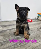 processed/37a7b8d0-ded4-4e9b-a3a8-fb85d0e7f857/listing/d98f0d41-b55c-4e8b-9e32-ce9b585cd9c2/4a80928c-3cab-4a0b-b9ac-e7e568fcf9e5