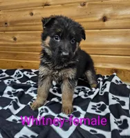 processed/37a7b8d0-ded4-4e9b-a3a8-fb85d0e7f857/listing/d98f0d41-b55c-4e8b-9e32-ce9b585cd9c2/9aa52ab7-aa4a-454d-bb11-c915490f3070