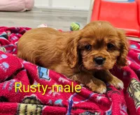 processed/37a7b8d0-ded4-4e9b-a3a8-fb85d0e7f857/listing/fc7ce70b-cf2b-4d3f-8349-14504114fd2a/0b15b98b-7985-49af-90cd-513ca1fcf85a