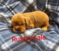 processed/37a7b8d0-ded4-4e9b-a3a8-fb85d0e7f857/listing/fc7ce70b-cf2b-4d3f-8349-14504114fd2a/15bf7498-de90-4bc9-a566-10b8a9ac8e60