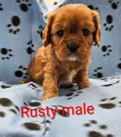 processed/37a7b8d0-ded4-4e9b-a3a8-fb85d0e7f857/listing/fc7ce70b-cf2b-4d3f-8349-14504114fd2a/407786a3-ed74-448c-a644-5d1de2ca9eb3