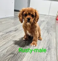 processed/37a7b8d0-ded4-4e9b-a3a8-fb85d0e7f857/listing/fc7ce70b-cf2b-4d3f-8349-14504114fd2a/aa4e6fc6-2e38-48c1-91bf-1f897adc0499