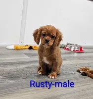 processed/37a7b8d0-ded4-4e9b-a3a8-fb85d0e7f857/listing/fc7ce70b-cf2b-4d3f-8349-14504114fd2a/b6b6e426-8a06-4d62-92d5-200a3c51989c