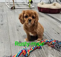 processed/37a7b8d0-ded4-4e9b-a3a8-fb85d0e7f857/listing/fc7ce70b-cf2b-4d3f-8349-14504114fd2a/da7590bc-d41d-47a0-8692-22cda84561e9