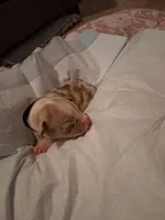 processed/37ac9adf-e355-4540-9445-e9bbefc1fb35/listing/8b0ceab0-b86b-45a5-8879-3ffa6cec27db/5dc961f6-5cb9-4b3c-b812-23f7416beba8