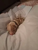 processed/37ac9adf-e355-4540-9445-e9bbefc1fb35/listing/8b0ceab0-b86b-45a5-8879-3ffa6cec27db/892701f5-060b-4539-b0bf-328b1c2ae79a