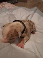 processed/37ac9adf-e355-4540-9445-e9bbefc1fb35/listing/8b0ceab0-b86b-45a5-8879-3ffa6cec27db/abf843ab-3a65-4929-973b-86e77bbfb1e3