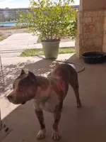 processed/37ac9adf-e355-4540-9445-e9bbefc1fb35/listing/90197432-69f1-42d1-8d7f-584a6a06a106/8cdecb12-a4ad-44b2-bca9-714ca5de1830