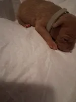 processed/37ac9adf-e355-4540-9445-e9bbefc1fb35/listing/90197432-69f1-42d1-8d7f-584a6a06a106/e58b2228-4920-4a43-9b04-d97058d19b02