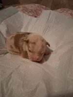 processed/37ac9adf-e355-4540-9445-e9bbefc1fb35/listing/e9f25f1e-adf7-44b3-9aba-255c04183429/1fa6a13f-1a73-46f8-8079-2ee1168d1900