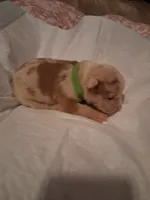 processed/37ac9adf-e355-4540-9445-e9bbefc1fb35/listing/e9f25f1e-adf7-44b3-9aba-255c04183429/9e410a8c-7534-4c2e-9233-d82063738018