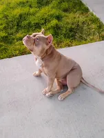 processed/37ac9adf-e355-4540-9445-e9bbefc1fb35/listing/e9f25f1e-adf7-44b3-9aba-255c04183429/b755d08a-98be-4b78-9f65-51029e27c7bd