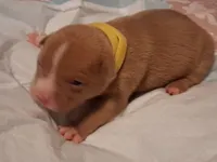 processed/37ac9adf-e355-4540-9445-e9bbefc1fb35/listing/ef95f788-1858-4abc-be1f-cbd602856190/4a075b12-28e8-42a1-aa10-d5271ddebd26