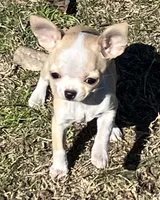 processed/37b034d6-d183-4f7a-b32a-6f256b3872f6/listing/341cb4a6-0b29-4748-84c0-95054bfb3b89/1d06ea50-b123-45f7-a424-f40102fc6154