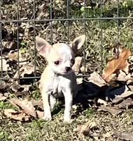 processed/37b034d6-d183-4f7a-b32a-6f256b3872f6/listing/341cb4a6-0b29-4748-84c0-95054bfb3b89/a5dff080-344f-404b-b13b-f7df968b77d3