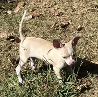 processed/37b034d6-d183-4f7a-b32a-6f256b3872f6/listing/5082217f-fae6-4777-8965-c486fec233db/3b11f5da-f35e-49d7-b4b0-6f0e13ef868c