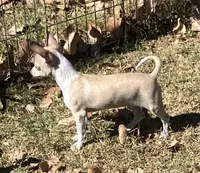 processed/37b034d6-d183-4f7a-b32a-6f256b3872f6/listing/5082217f-fae6-4777-8965-c486fec233db/b325918b-3947-4407-ac4e-97d10ddd9b7f