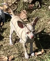 processed/37b034d6-d183-4f7a-b32a-6f256b3872f6/listing/5082217f-fae6-4777-8965-c486fec233db/c3728b79-1954-47bd-aa19-53b9fbd1a1af