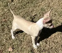 processed/37b034d6-d183-4f7a-b32a-6f256b3872f6/listing/5082217f-fae6-4777-8965-c486fec233db/e063085e-b127-4992-91c5-1aca35d4084a