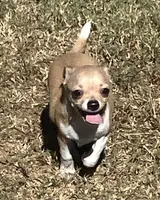 processed/37b034d6-d183-4f7a-b32a-6f256b3872f6/listing/c1557cd1-0e9f-4eb2-a154-1836abc2f70a/8fd9cee7-97fc-4153-a8d4-8e91cbd11277