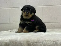 processed/37b35fc2-5efd-4ee9-b618-f55ee96c7695/listing/89849c63-0962-449f-ab41-1cc257ae13e3/8bec37d6-21a5-4746-83b2-95ddfb7ba2bc