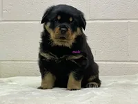 processed/37b35fc2-5efd-4ee9-b618-f55ee96c7695/listing/89849c63-0962-449f-ab41-1cc257ae13e3/8c200732-1fea-41ba-9dee-6c047f22b2bd