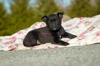 processed/37b35fc2-5efd-4ee9-b618-f55ee96c7695/listing/c7a2cccb-8e0c-4fbd-bf44-8ff7c2b58db2/6e22da3b-0b9d-42c5-afb3-fd39127ed5f9