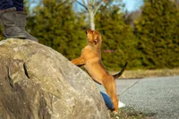 processed/37b35fc2-5efd-4ee9-b618-f55ee96c7695/listing/e4823a3c-ce30-4147-aa3f-918606356382/d8f9d246-2153-4e85-9a74-ac9d3cc7695a