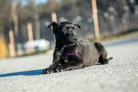 processed/37b35fc2-5efd-4ee9-b618-f55ee96c7695/listing/e7fa0a45-025f-4cff-955e-6bc38ad8e815/61478890-a431-40fc-8c0b-d07d5fac1cba