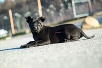 processed/37b35fc2-5efd-4ee9-b618-f55ee96c7695/listing/e7fa0a45-025f-4cff-955e-6bc38ad8e815/a7ce3df8-db3e-4555-aa0a-3150be3139bc