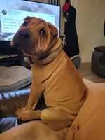 processed/37b89828-7031-43c5-ac3e-79f7b4b52de7/listing/5dee1509-9ec4-4a96-bb61-1c2f7f3be54c/07f359b8-937b-4906-b799-1b5bf5647027