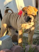 processed/37b89828-7031-43c5-ac3e-79f7b4b52de7/listing/5dee1509-9ec4-4a96-bb61-1c2f7f3be54c/5b9da422-10ab-417c-a342-117ee1760006