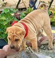 processed/37b89828-7031-43c5-ac3e-79f7b4b52de7/listing/5dee1509-9ec4-4a96-bb61-1c2f7f3be54c/73f3f244-6e14-4a5e-bcfd-61ac9b708a81