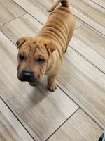 processed/37b89828-7031-43c5-ac3e-79f7b4b52de7/listing/5dee1509-9ec4-4a96-bb61-1c2f7f3be54c/8ec6b00c-19ea-48e7-b0cf-dfb72e6624cb