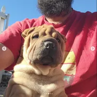 processed/37b89828-7031-43c5-ac3e-79f7b4b52de7/listing/5dee1509-9ec4-4a96-bb61-1c2f7f3be54c/ade8c33e-21d4-4baf-a1da-10d084420d5f